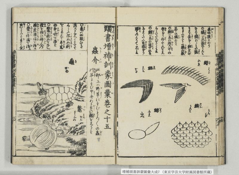 増補頭書訓蒙図彙大成 10巻 7:巻之14-16 - ページ 15