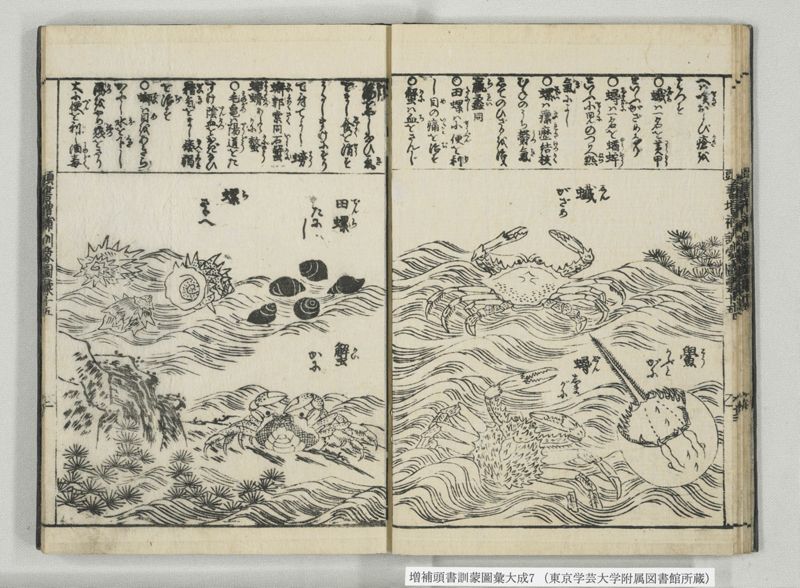 増補頭書訓蒙図彙大成 10巻 7:巻之14-16 - ページ 16