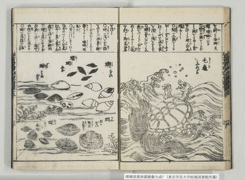 増補頭書訓蒙図彙大成 10巻 7:巻之14-16 - ページ 17