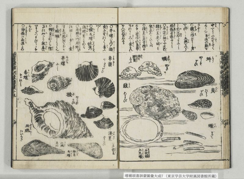 増補頭書訓蒙図彙大成 10巻 7:巻之14-16 - ページ 18