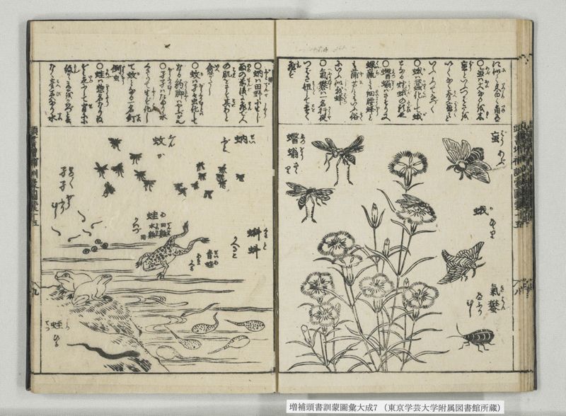 増補頭書訓蒙図彙大成 10巻 7:巻之14-16 - ページ 23