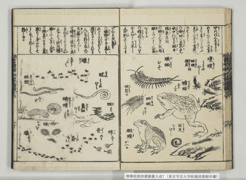 増補頭書訓蒙図彙大成 10巻 7:巻之14-16 - ページ 24