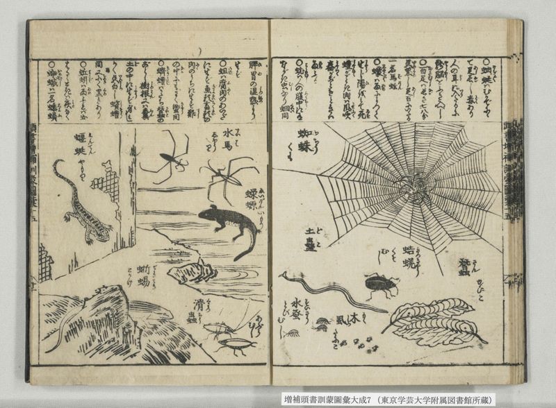 増補頭書訓蒙図彙大成 10巻 7:巻之14-16 - ページ 25