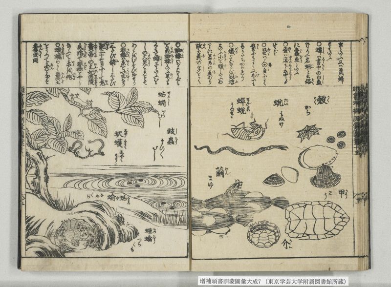 増補頭書訓蒙図彙大成 10巻 7:巻之14-16 - ページ 26