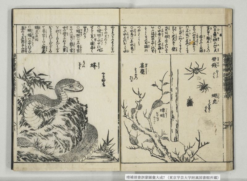 増補頭書訓蒙図彙大成 10巻 7:巻之14-16 - ページ 27