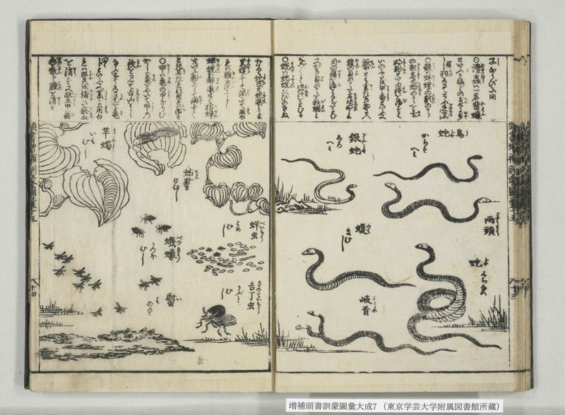 増補頭書訓蒙図彙大成 10巻 7:巻之14-16 - ページ 28