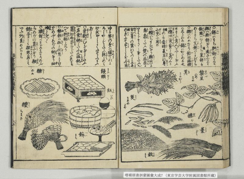 増補頭書訓蒙図彙大成 10巻 7:巻之14-16 - ページ 33