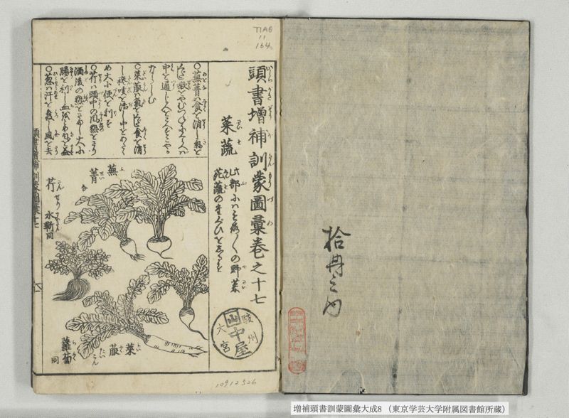 増補頭書訓蒙図彙大成 10巻 8:巻之17-19 - ページ 2