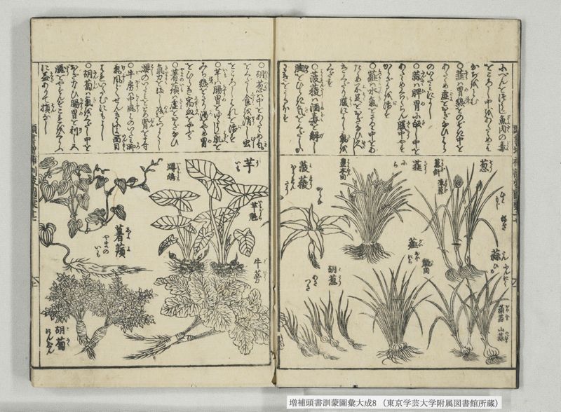 増補頭書訓蒙図彙大成 10巻 8:巻之17-19 - ページ 3