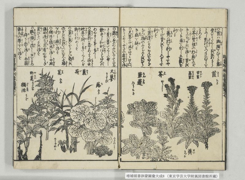 増補頭書訓蒙図彙大成 10巻 8:巻之17-19 - ページ 4