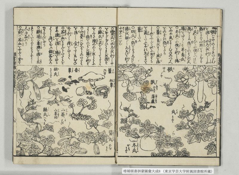 増補頭書訓蒙図彙大成 10巻 8:巻之17-19 - ページ 5