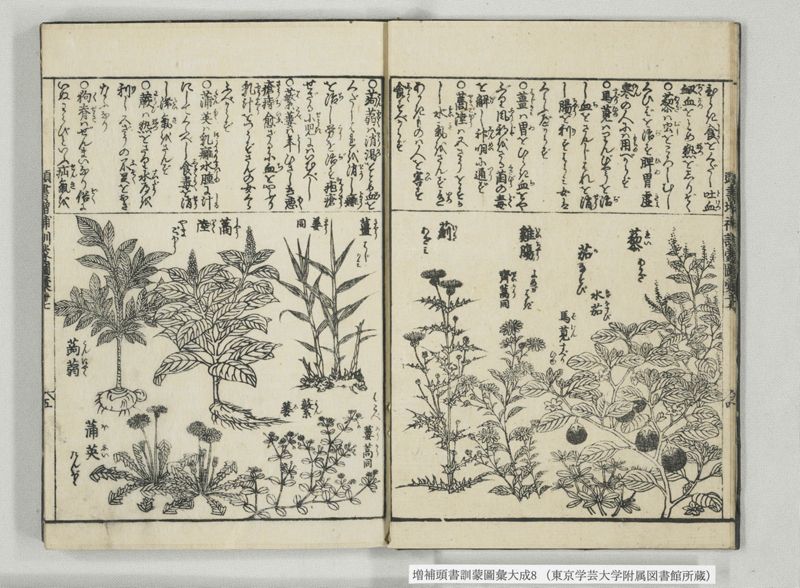 増補頭書訓蒙図彙大成 10巻 8:巻之17-19 - ページ 6