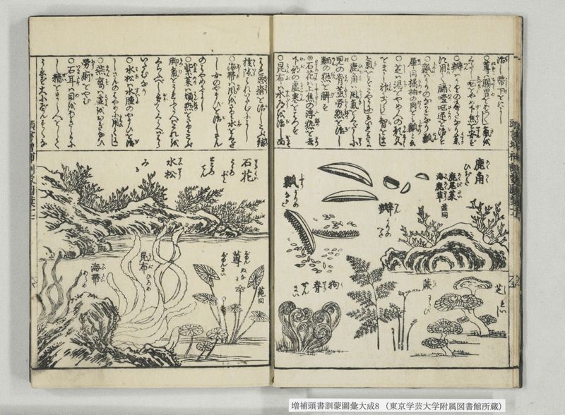 増補頭書訓蒙図彙大成 10巻 8:巻之17-19 - ページ 7