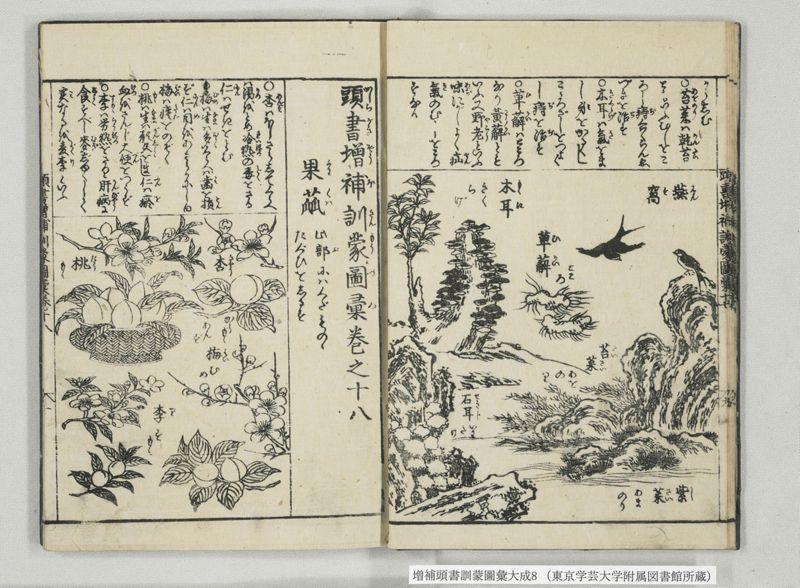 増補頭書訓蒙図彙大成 10巻 8:巻之17-19 - ページ 8