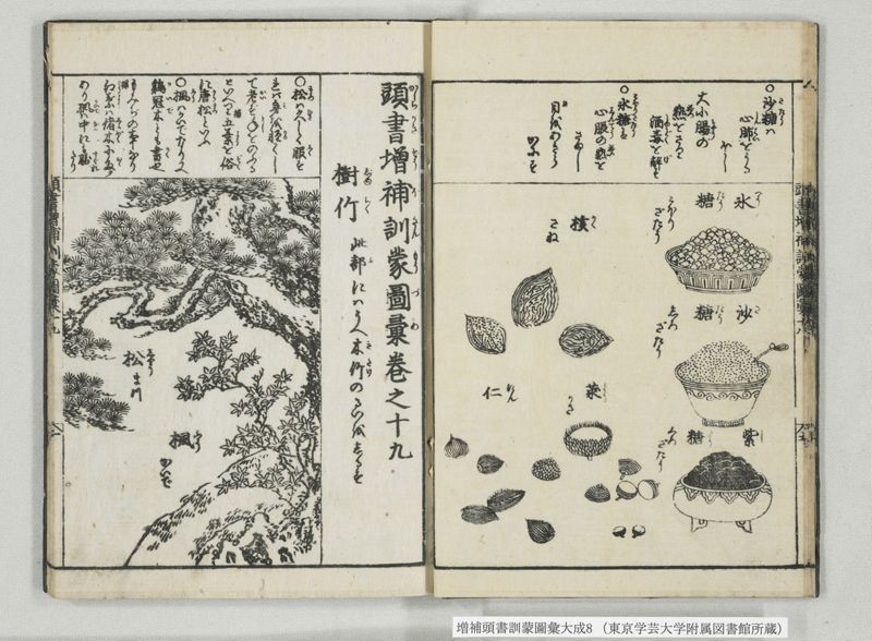 増補頭書訓蒙図彙大成 10巻 8:巻之17-19 - ページ 13