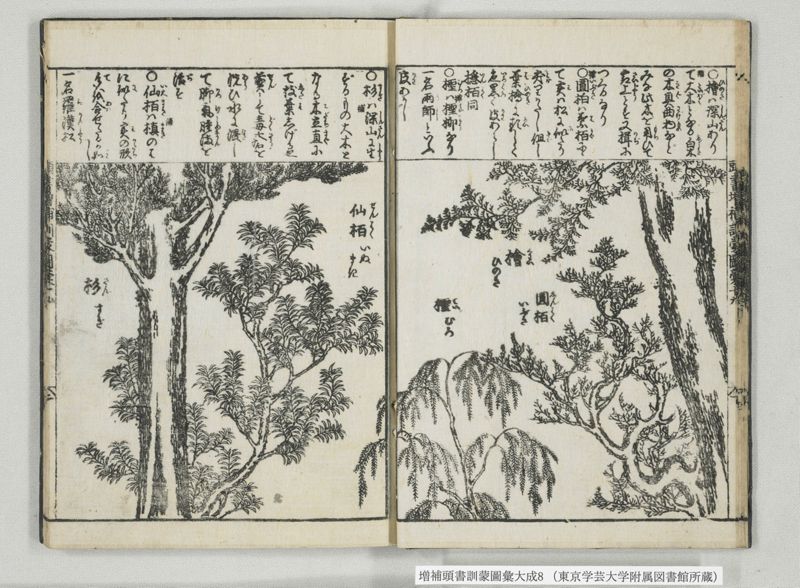 増補頭書訓蒙図彙大成 10巻 8:巻之17-19 - ページ 14