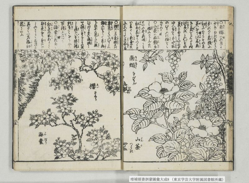 増補頭書訓蒙図彙大成 10巻 8:巻之17-19 - ページ 15