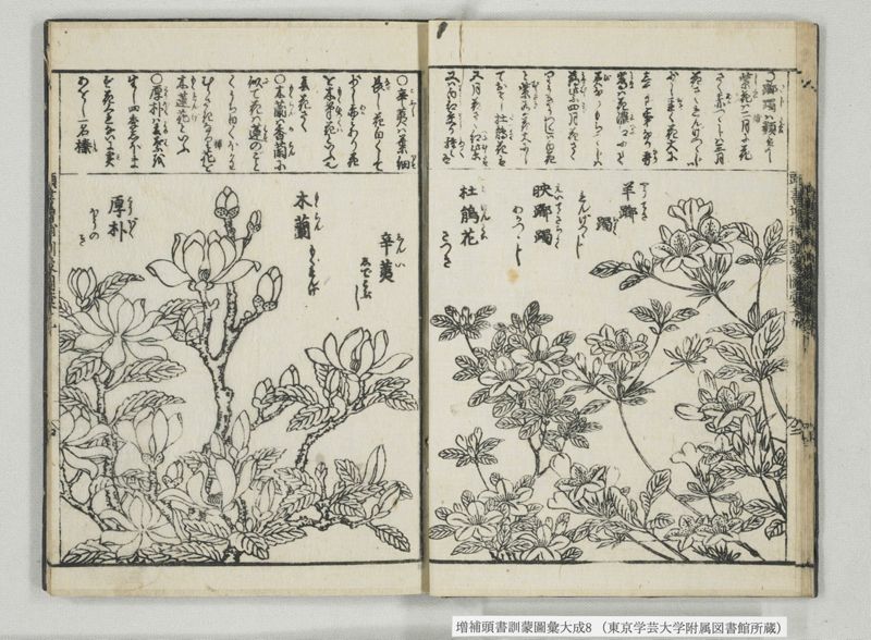 増補頭書訓蒙図彙大成 10巻 8:巻之17-19 - ページ 16