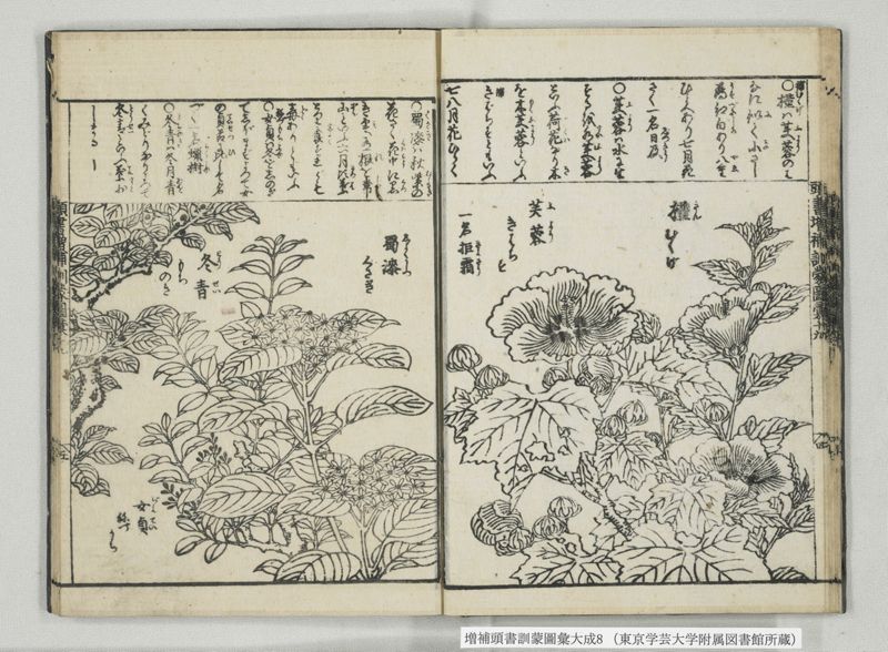 増補頭書訓蒙図彙大成 10巻 8:巻之17-19 - ページ 17