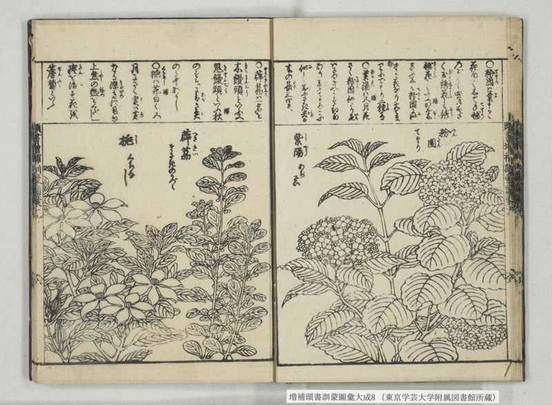 増補頭書訓蒙図彙大成 10巻 8:巻之17-19 - ページ 18