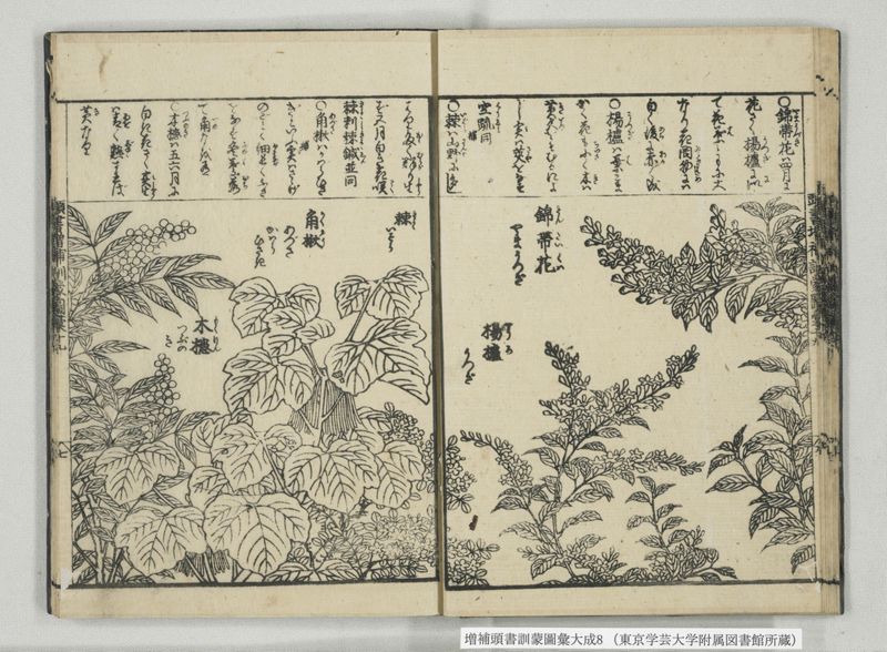 増補頭書訓蒙図彙大成 10巻 8:巻之17-19 - ページ 19