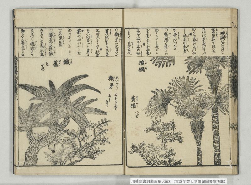 増補頭書訓蒙図彙大成 10巻 8:巻之17-19 - ページ 20