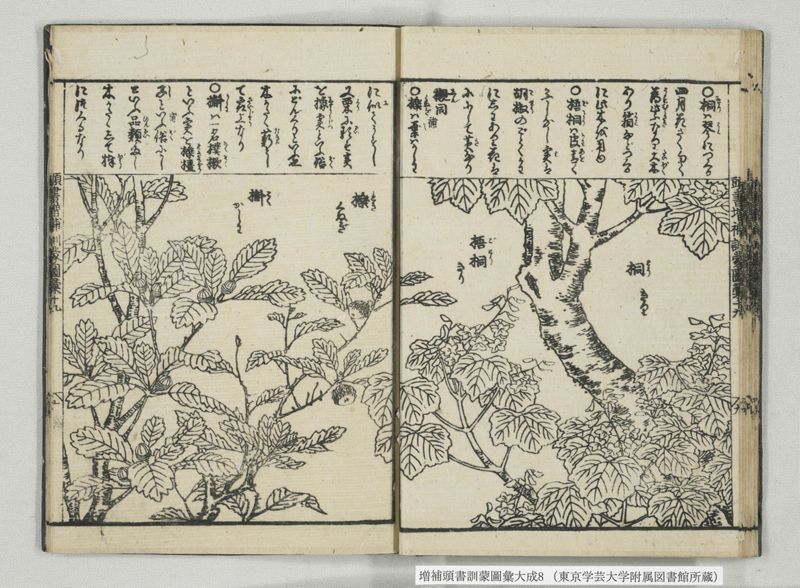 増補頭書訓蒙図彙大成 10巻 8:巻之17-19 - ページ 22