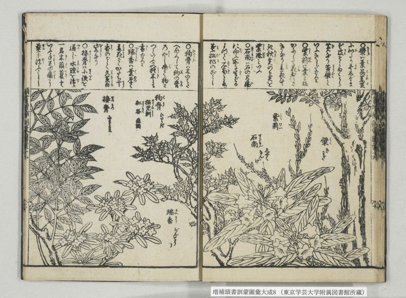 増補頭書訓蒙図彙大成 10巻 8:巻之17-19 - ページ 23