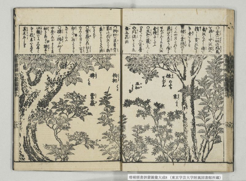 増補頭書訓蒙図彙大成 10巻 8:巻之17-19 - ページ 24