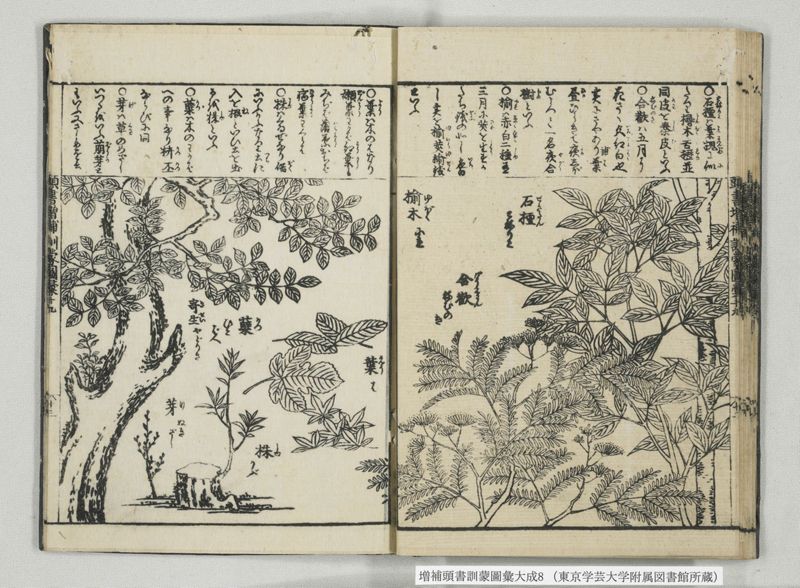 増補頭書訓蒙図彙大成 10巻 8:巻之17-19 - ページ 25