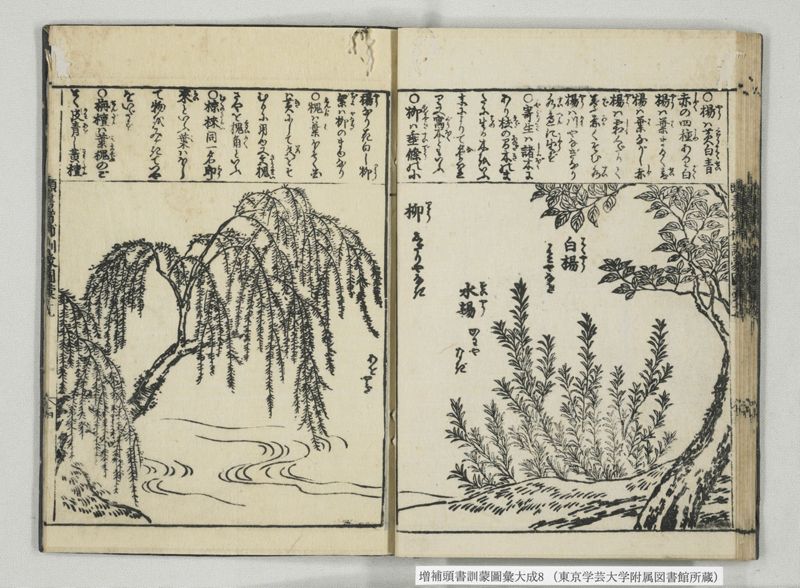 増補頭書訓蒙図彙大成 10巻 8:巻之17-19 - ページ 26