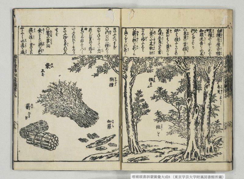 増補頭書訓蒙図彙大成 10巻 8:巻之17-19 - ページ 27