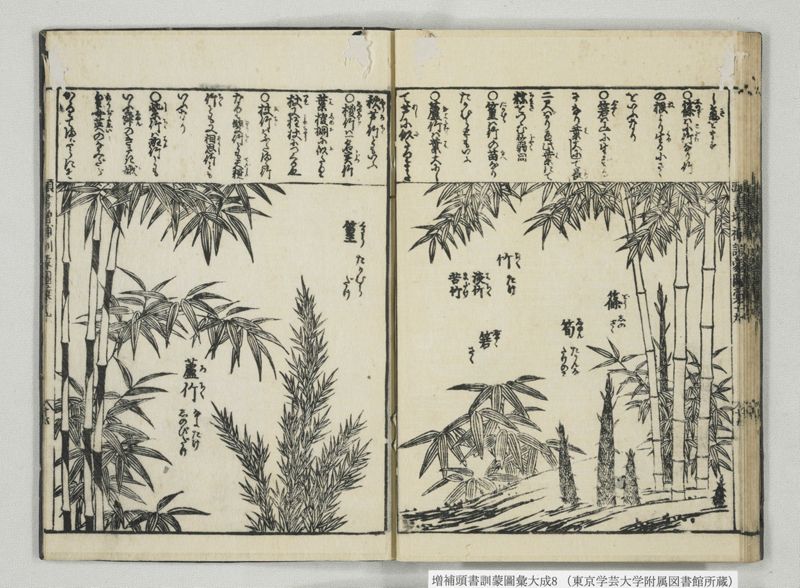 増補頭書訓蒙図彙大成 10巻 8:巻之17-19 - ページ 28