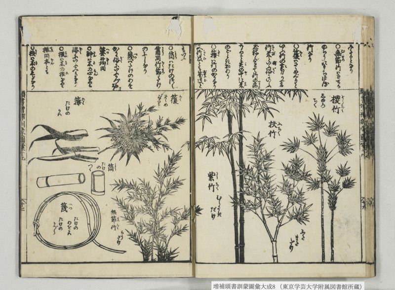 増補頭書訓蒙図彙大成 10巻 8:巻之17-19 - ページ 29