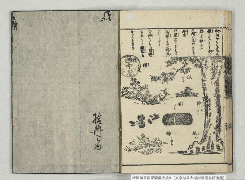 増補頭書訓蒙図彙大成 10巻 8:巻之17-19 - ページ 30