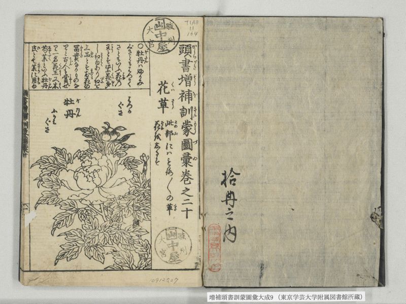 増補頭書訓蒙図彙大成 10巻 9:巻之20 - ページ 2