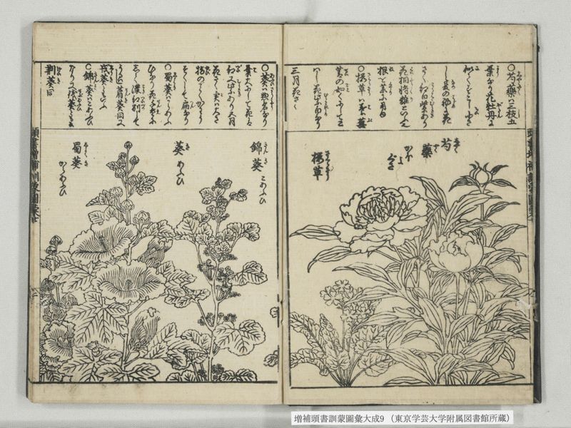 増補頭書訓蒙図彙大成 10巻 9:巻之20 - ページ 3