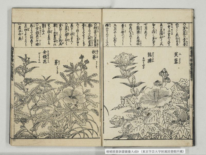 増補頭書訓蒙図彙大成 10巻 9:巻之20 - ページ 4