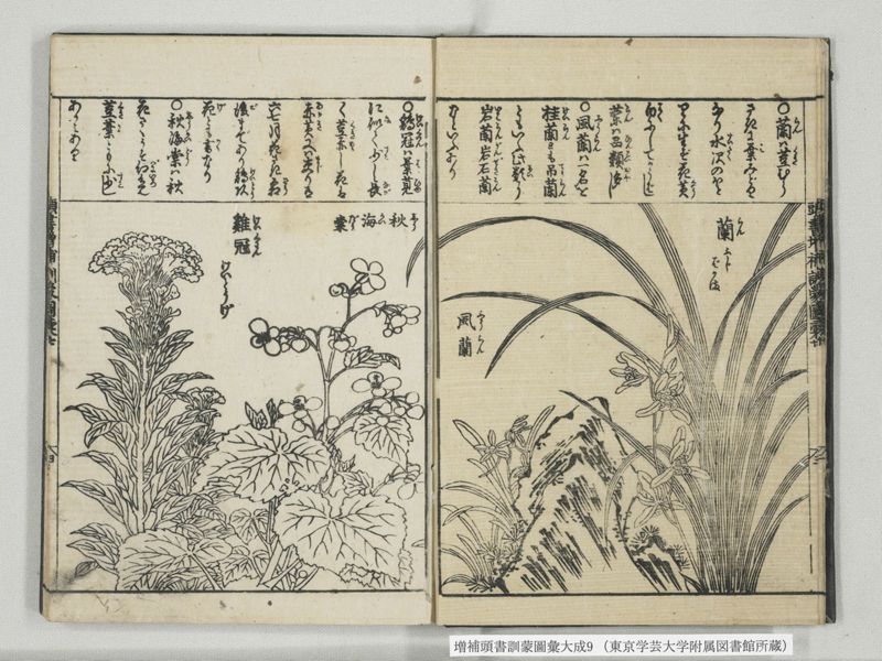 増補頭書訓蒙図彙大成 10巻 9:巻之20 - ページ 5