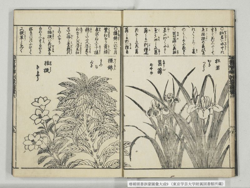 増補頭書訓蒙図彙大成 10巻 9:巻之20 - ページ 10