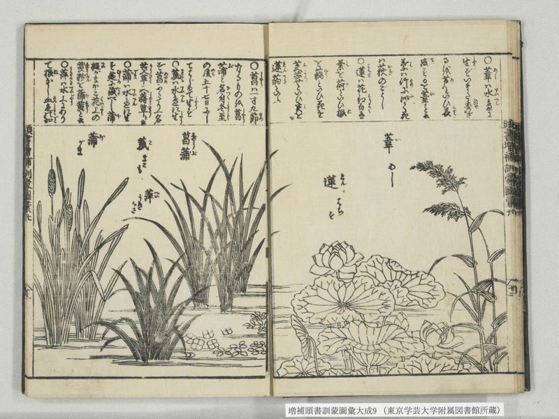 増補頭書訓蒙図彙大成 10巻 9:巻之20 - ページ 14