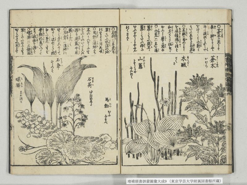 増補頭書訓蒙図彙大成 10巻 9:巻之20 - ページ 18