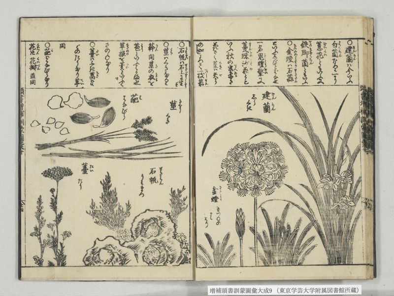 増補頭書訓蒙図彙大成 10巻 9:巻之20 - ページ 25
