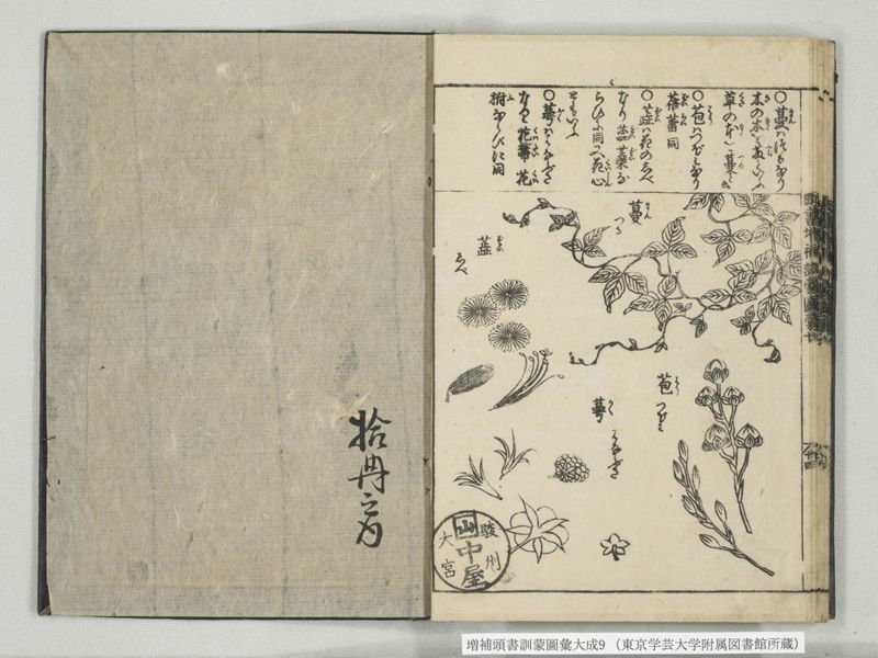 増補頭書訓蒙図彙大成 10巻 9:巻之20 - ページ 26