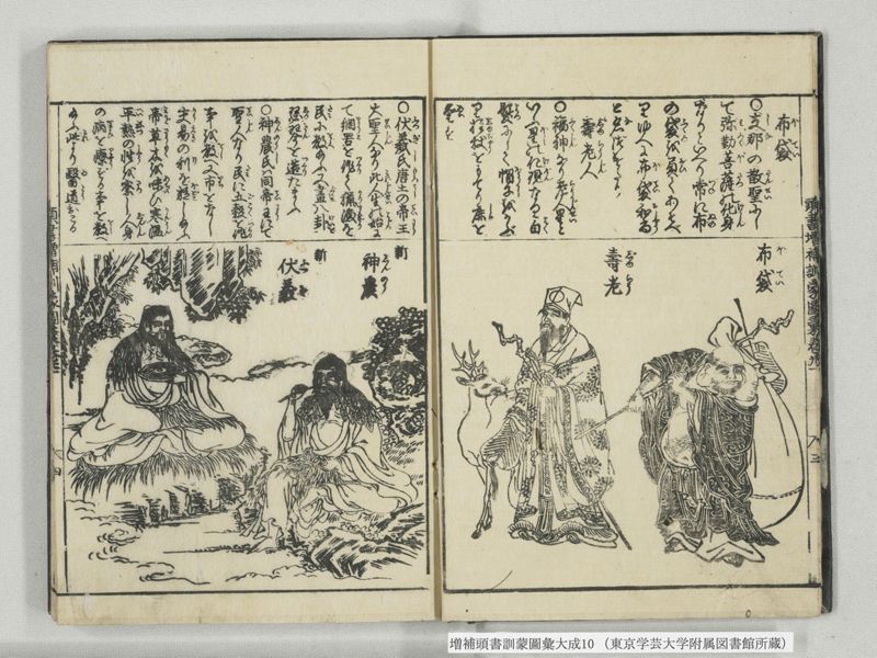 増補頭書訓蒙図彙大成 10巻 10:巻之21 - ページ 5
