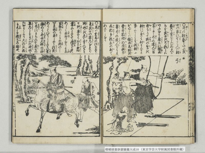 増補頭書訓蒙図彙大成 10巻 10:巻之21 - ページ 16