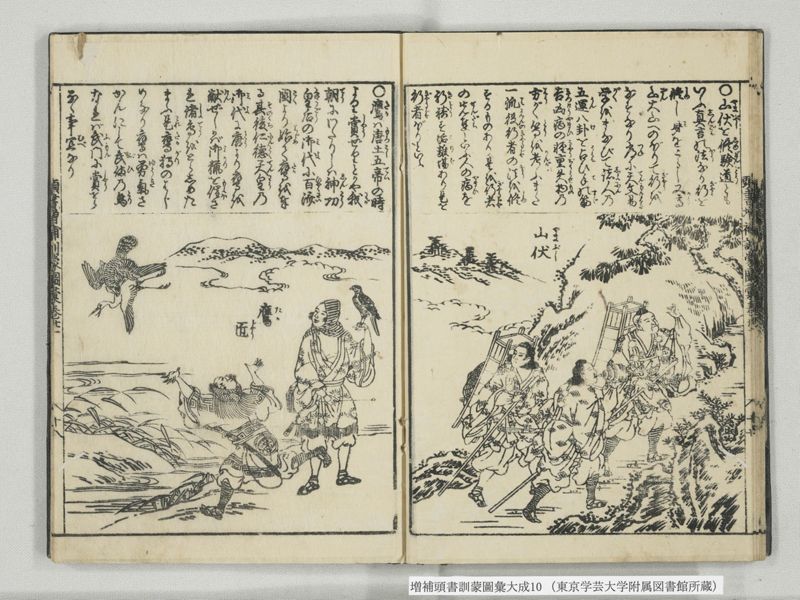 増補頭書訓蒙図彙大成 10巻 10:巻之21 - ページ 19