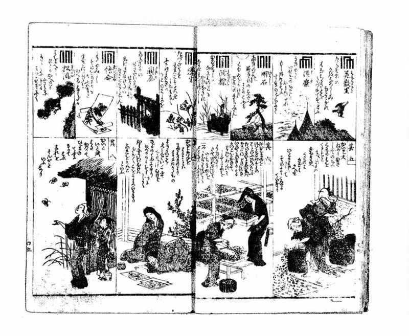 小倉百人一首 - ページ 7