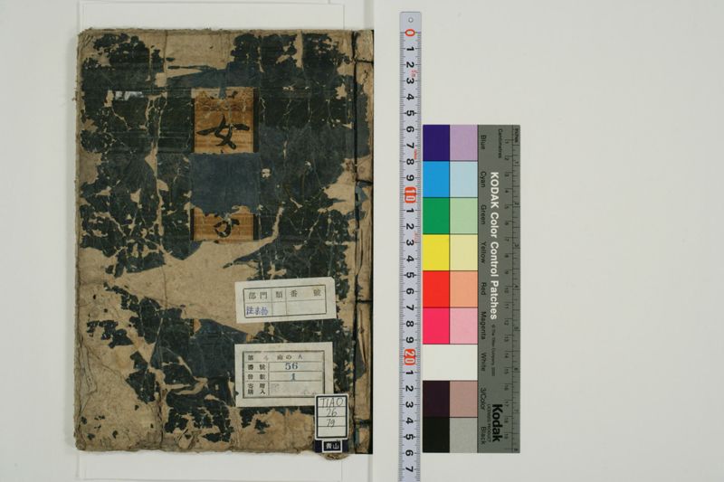 女小学 - ページ 1