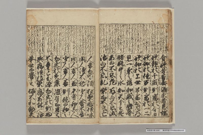金言童子教〔竝抄〕 - ページ 14